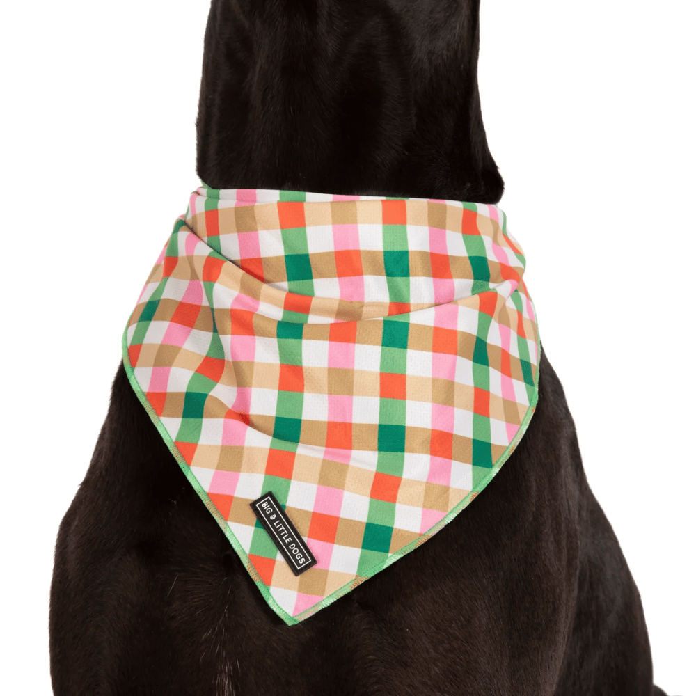 Big & Little Dogs Candy Lane Plaid Dog Bandana