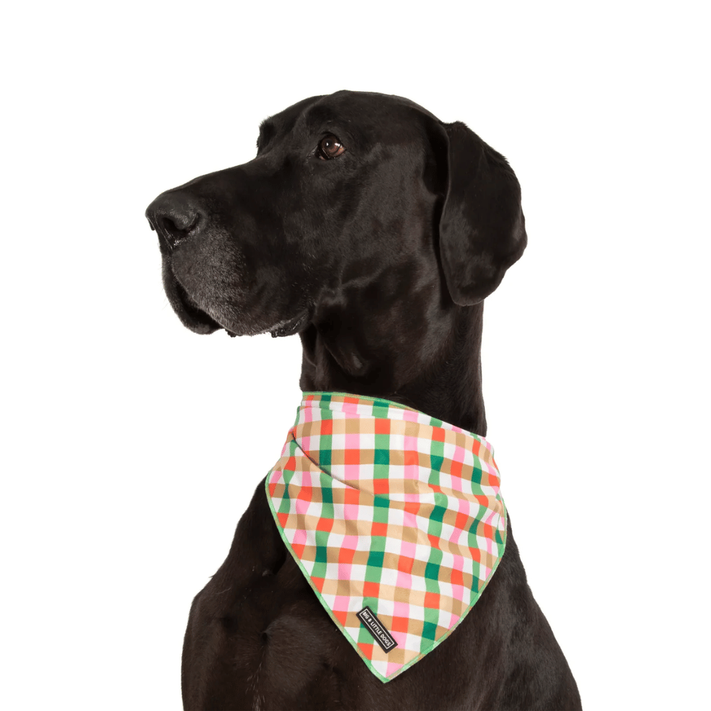 Big & Little Dogs Candy Lane Plaid Dog Bandana
