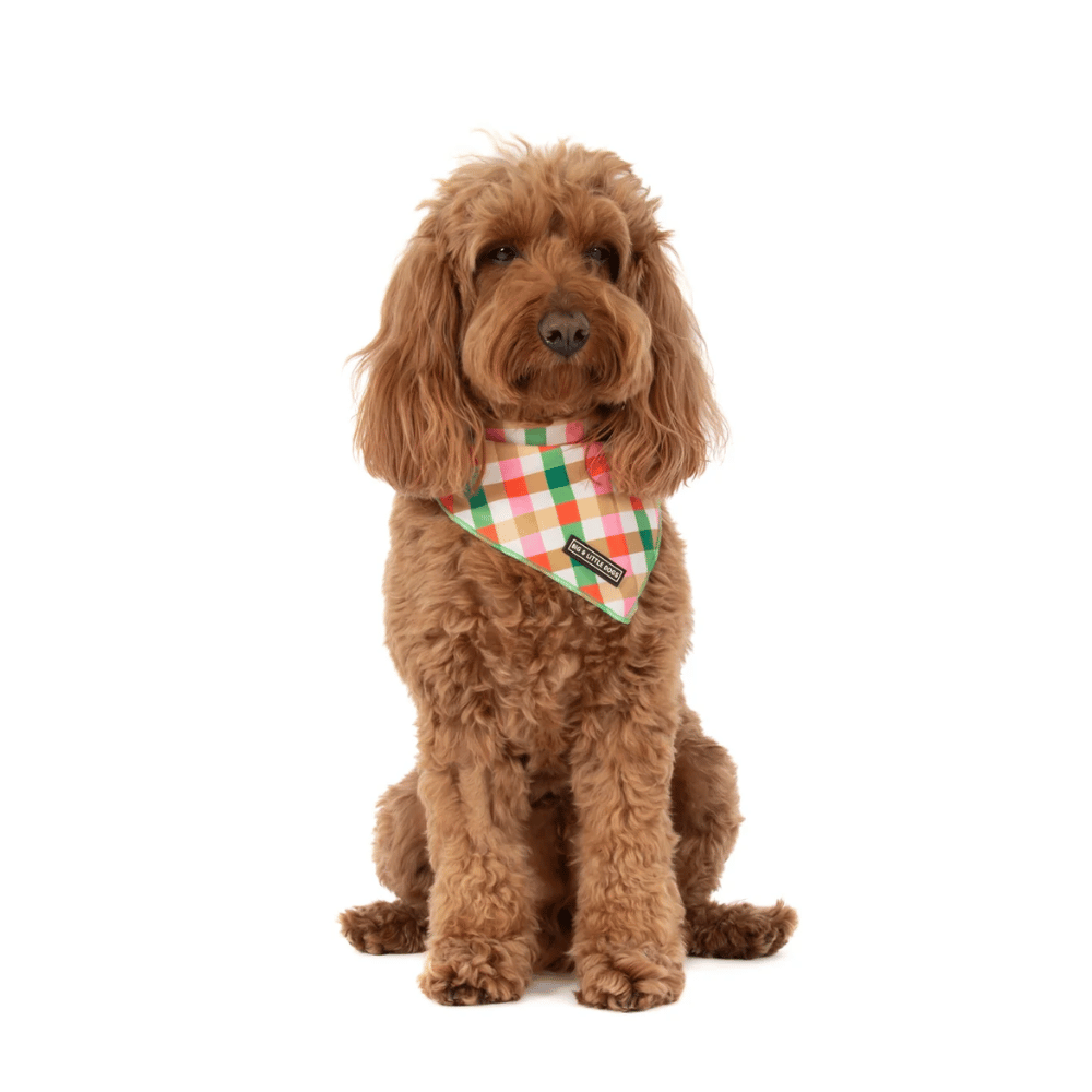 Big & Little Dogs Candy Lane Plaid Dog Bandana