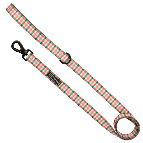 Big & Little Dogs Candy Lane Plaid Dog Leash