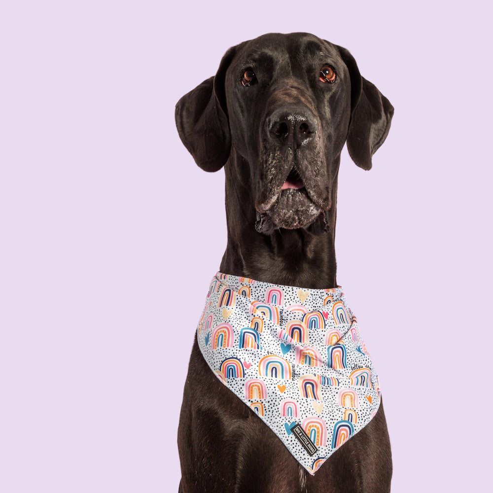 Big & Little Dogs Chasing Rainbows Bandana