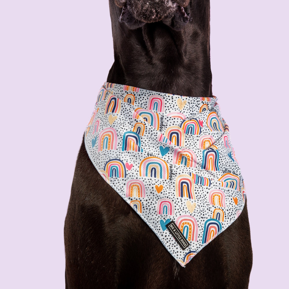 Big & Little Dogs Chasing Rainbows Bandana