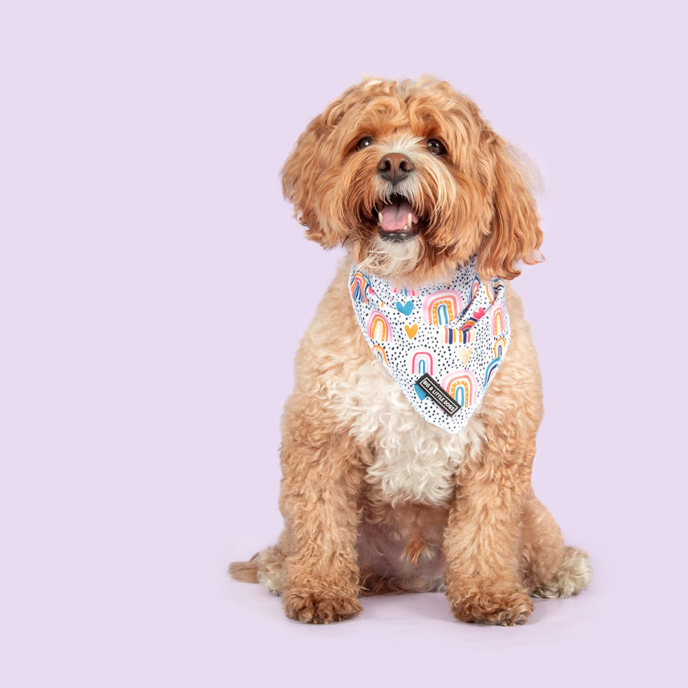 Big & Little Dogs Chasing Rainbows Bandana