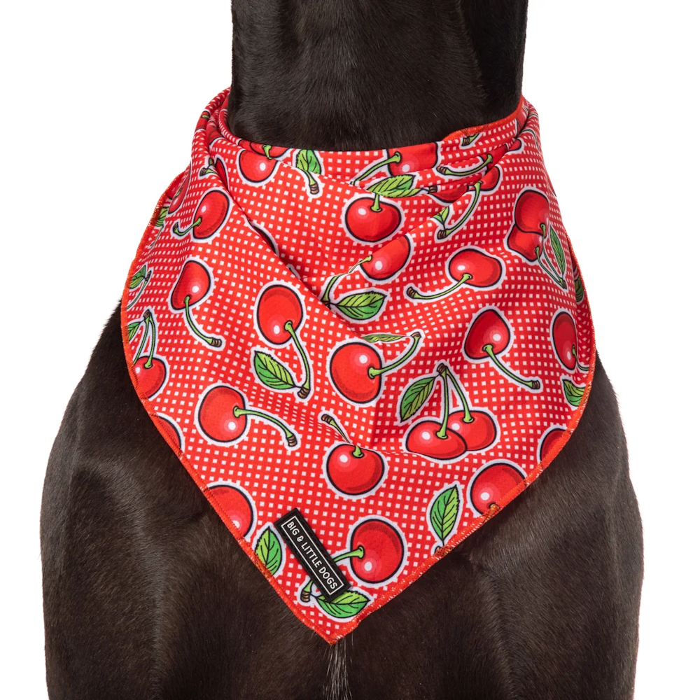 Big & Little Dogs Cherrylicious Bandana