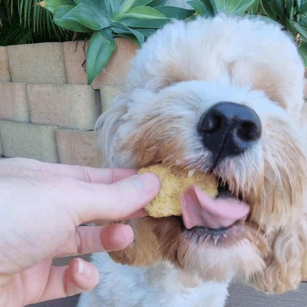 L'Barkery Chicken Nuggetz