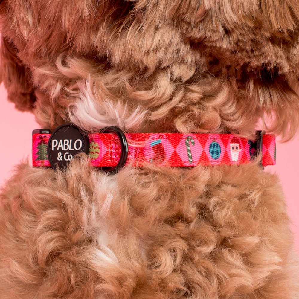 Pablo & Co Christmas Cheer: Dog Collar