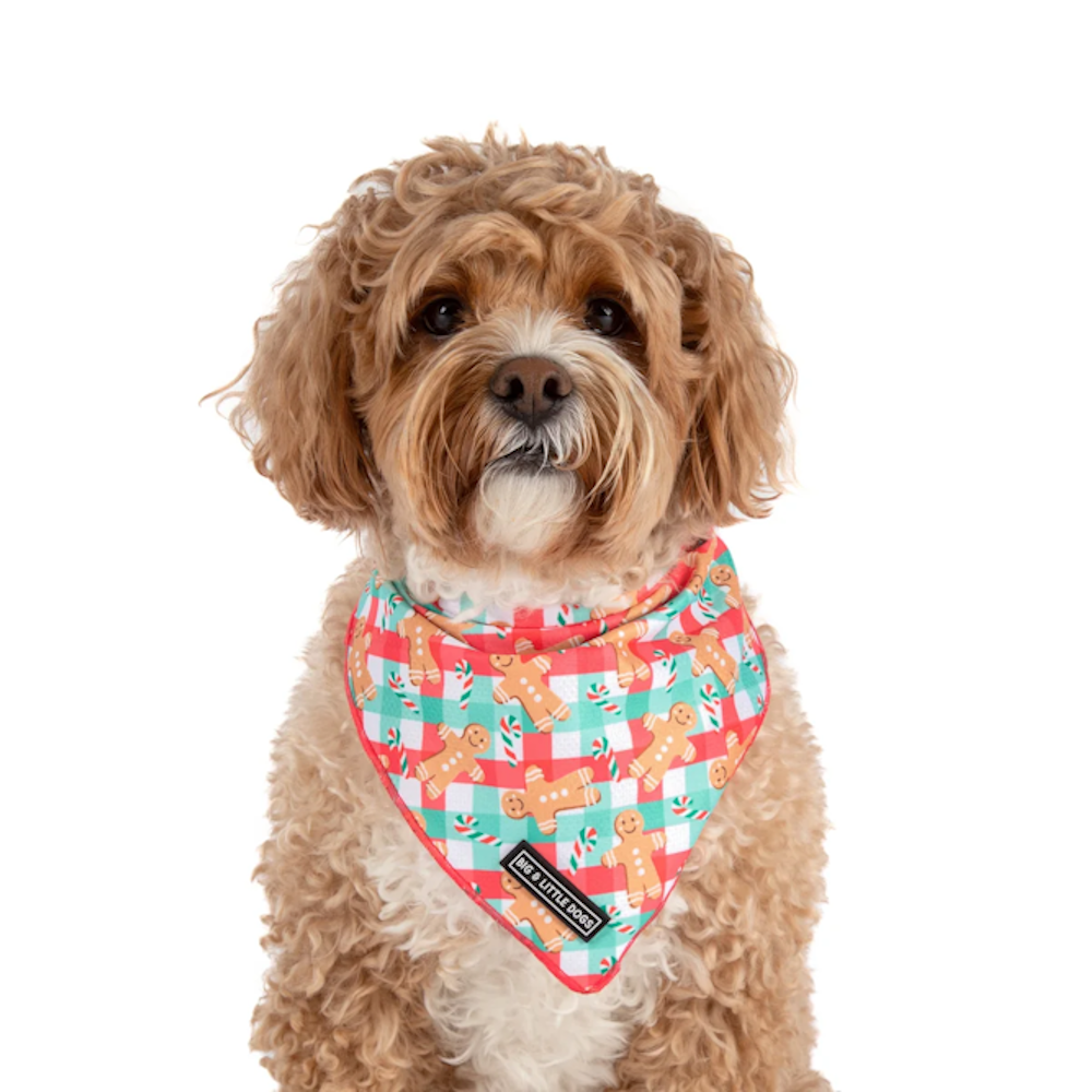 Big & Little Dogs Christmas Gingerbread Bandana