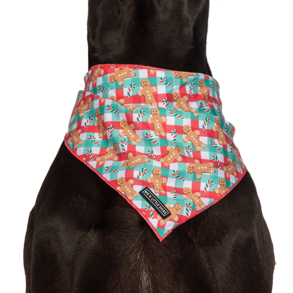 Big & Little Dogs Christmas Gingerbread Bandana