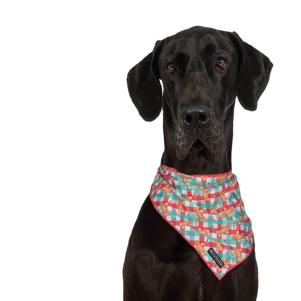 Big & Little Dogs Christmas Gingerbread Bandana