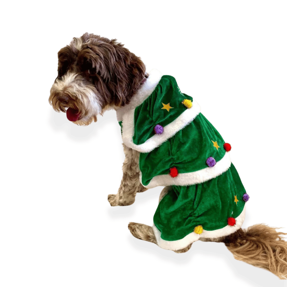 Christmas Tree Dog Costume