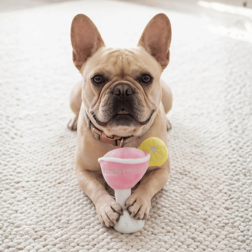 Cosmuttpolitan Dog Toy