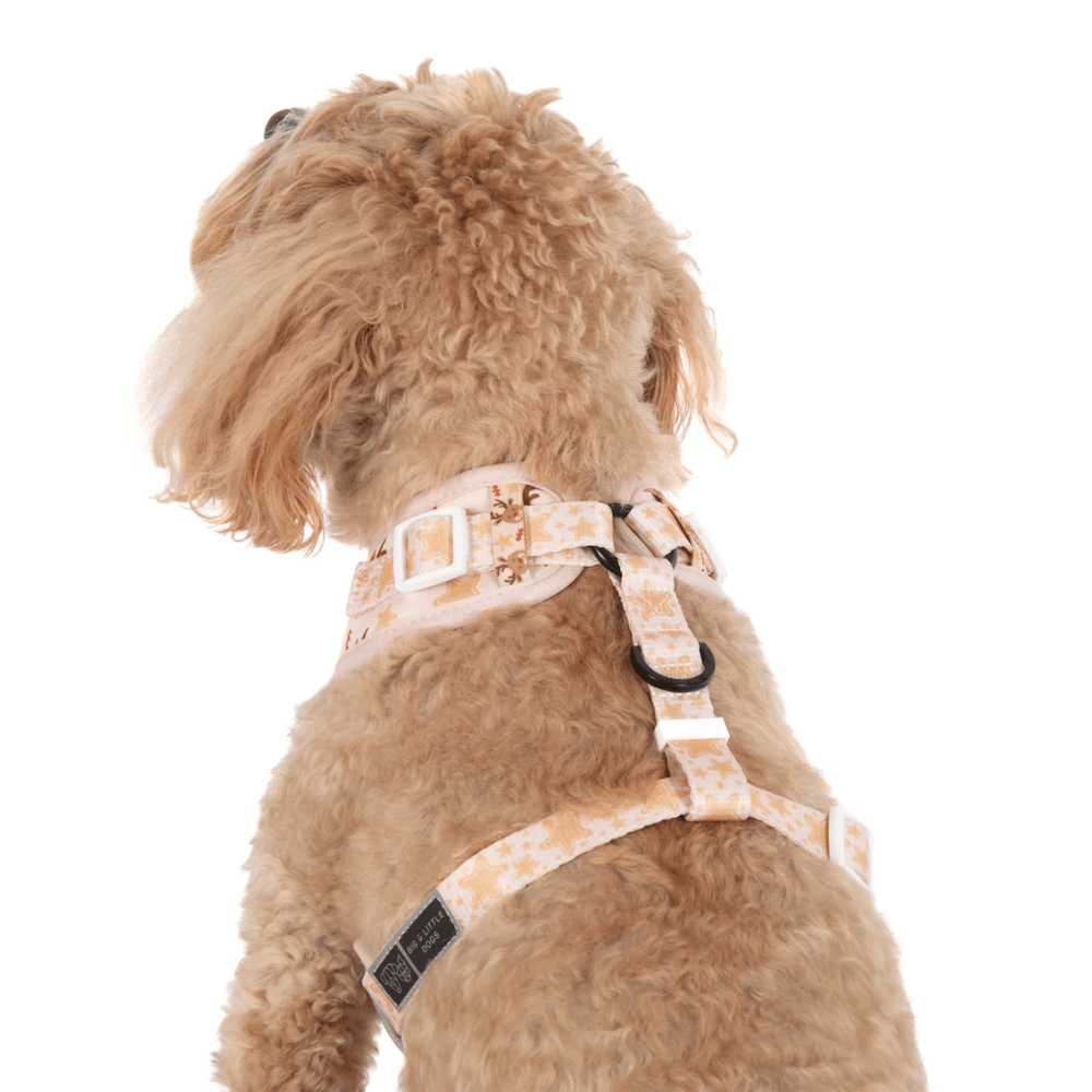 Big & Little Dogs Dashing Through The Stars Adjustable Harness