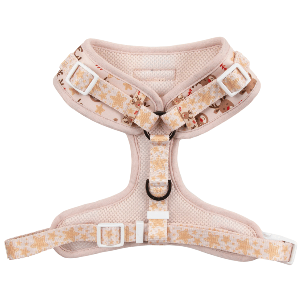Big & Little Dogs Dashing Through The Stars Adjustable Harness