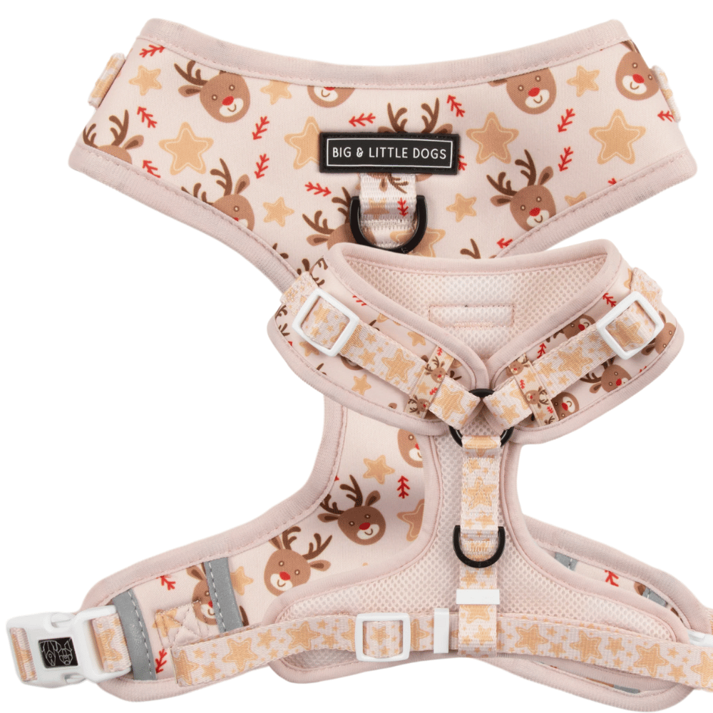 Big & Little Dogs Dashing Through The Stars Adjustable Harness