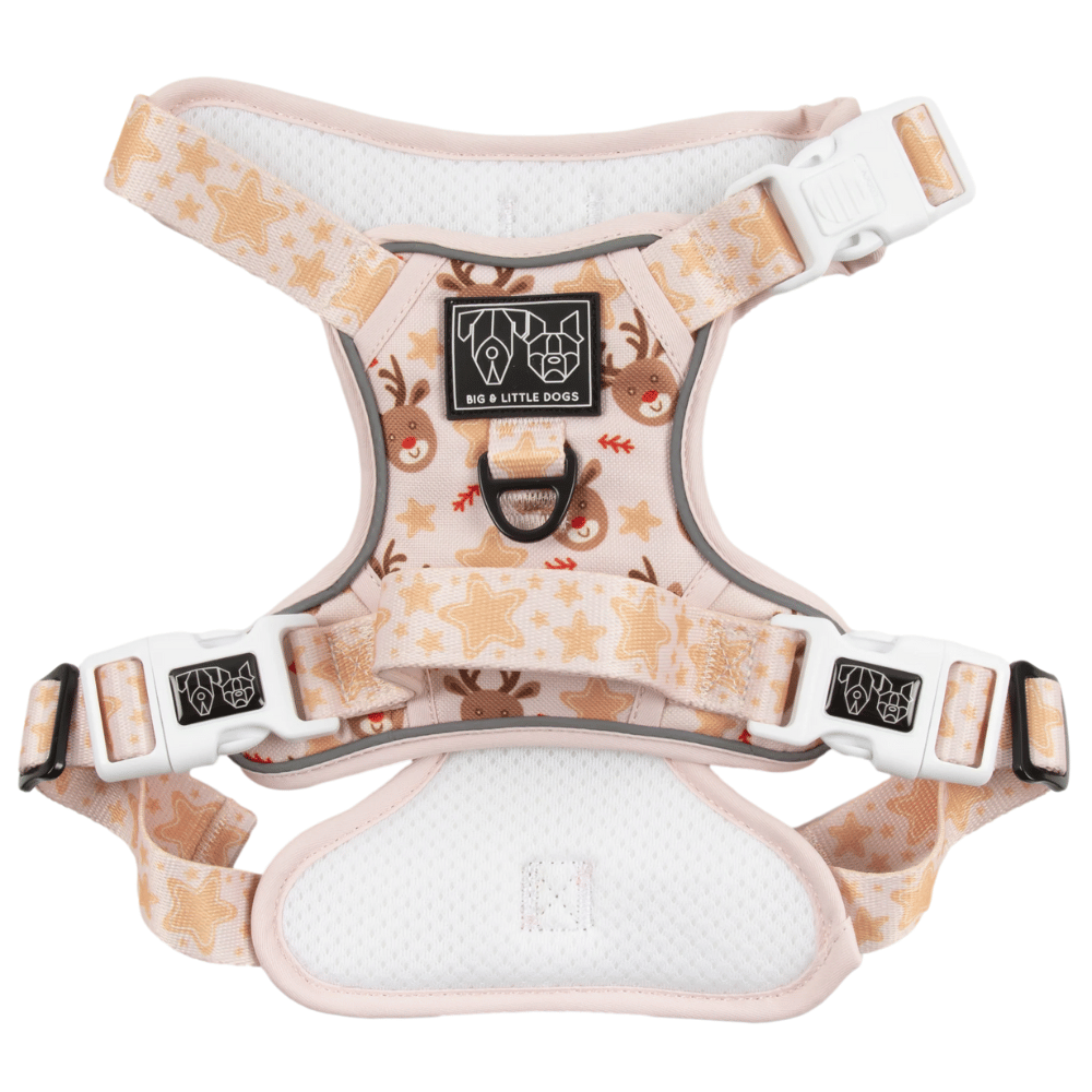 Big & Little Dogs Dashing Through The Stars All Rounder Harness