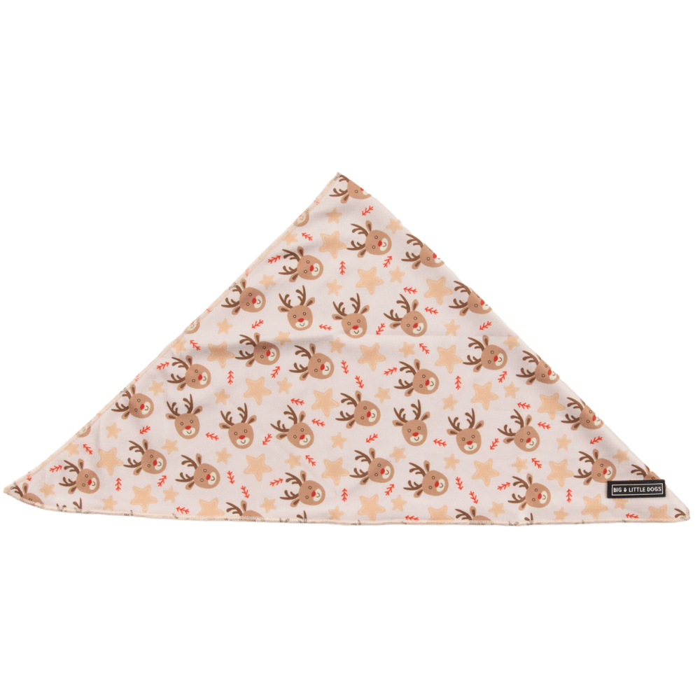Big & Little Dogs Dashing Through The Stars Dog Bandana