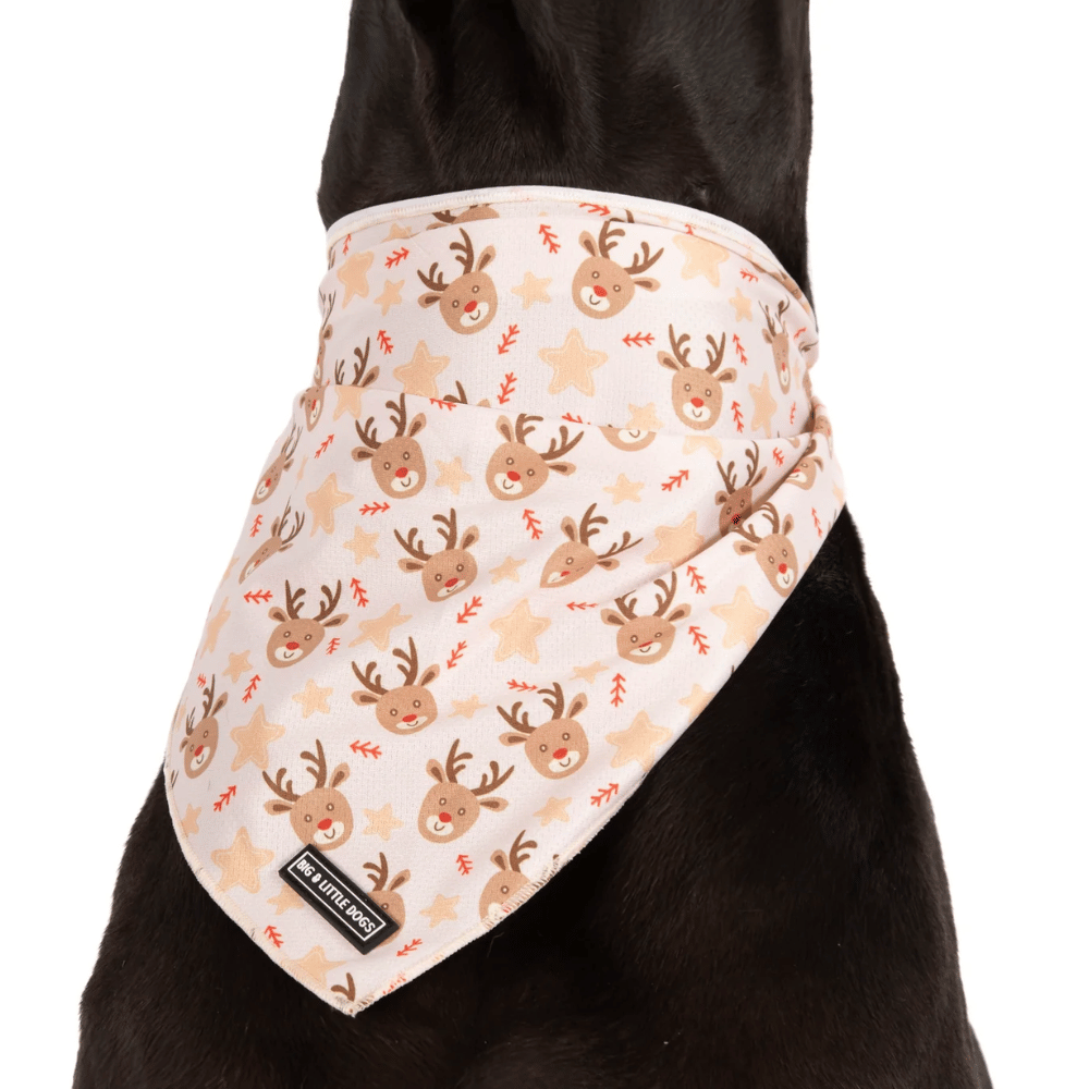 Big & Little Dogs Dashing Through The Stars Dog Bandana
