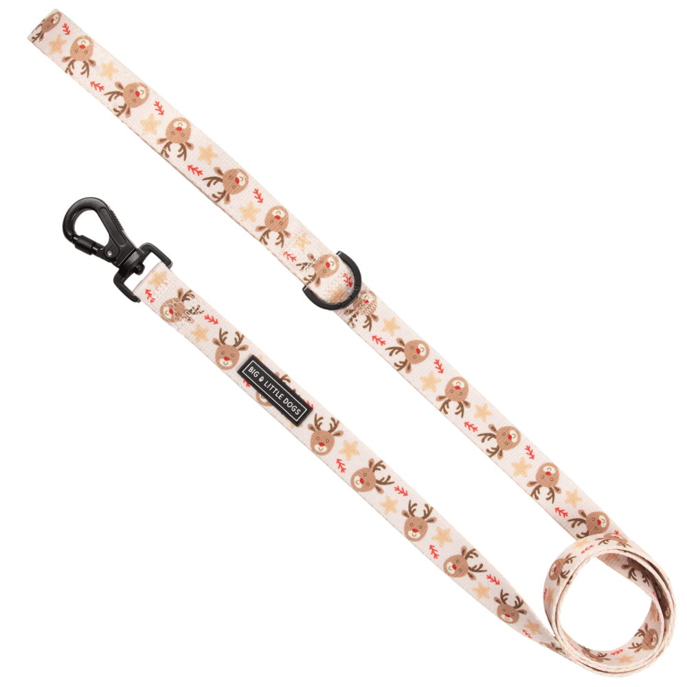 Big & Little Dogs Dashing Through The Stars Dog Leash