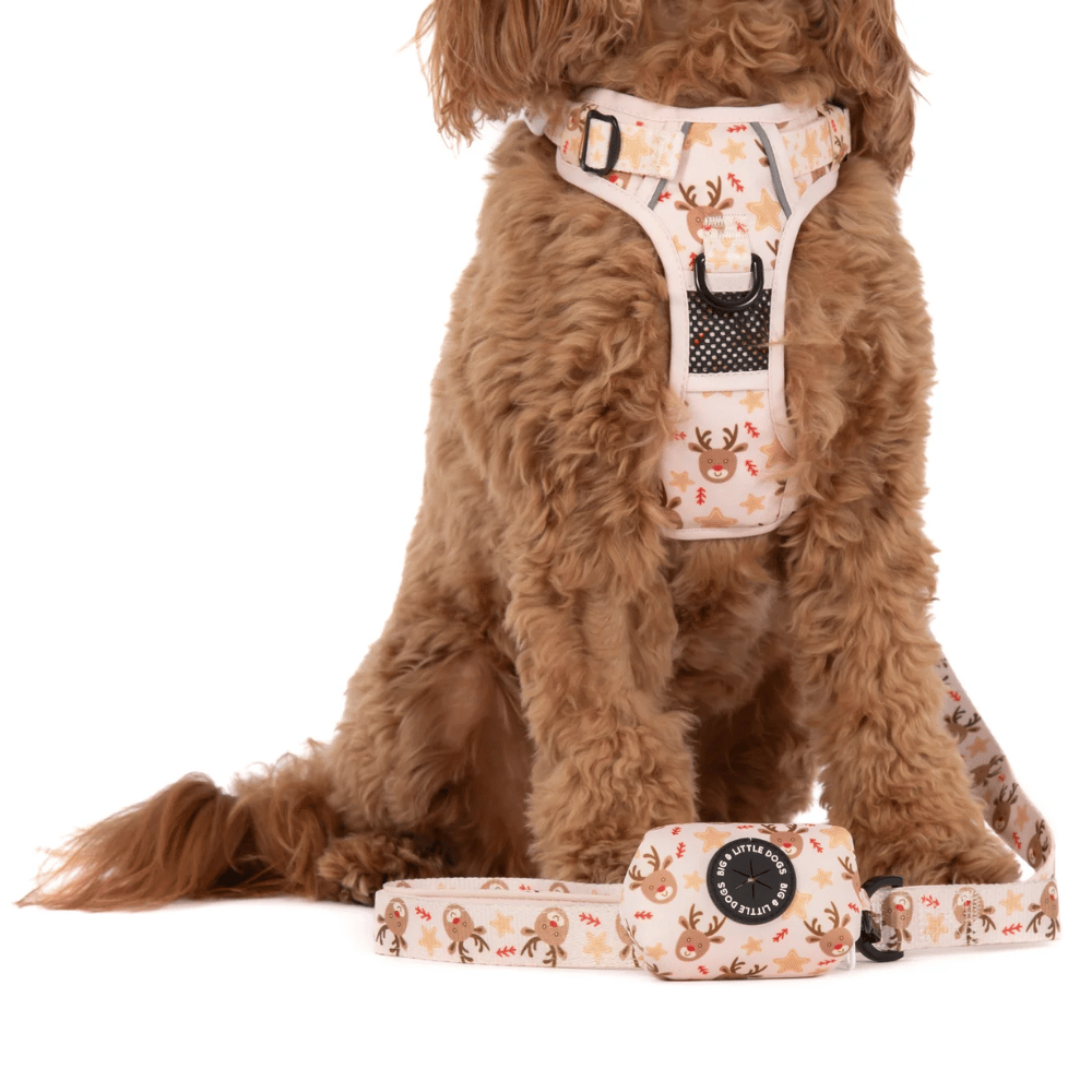 Big & Little Dogs Dashing Through The Stars Poop Bag Holder