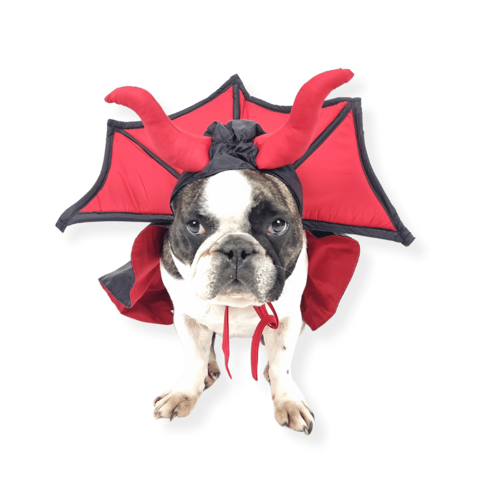 Devil Vampire Dog Costume