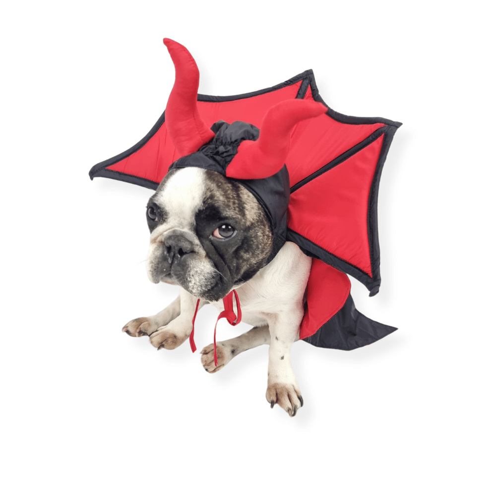 Devil Vampire Dog Costume