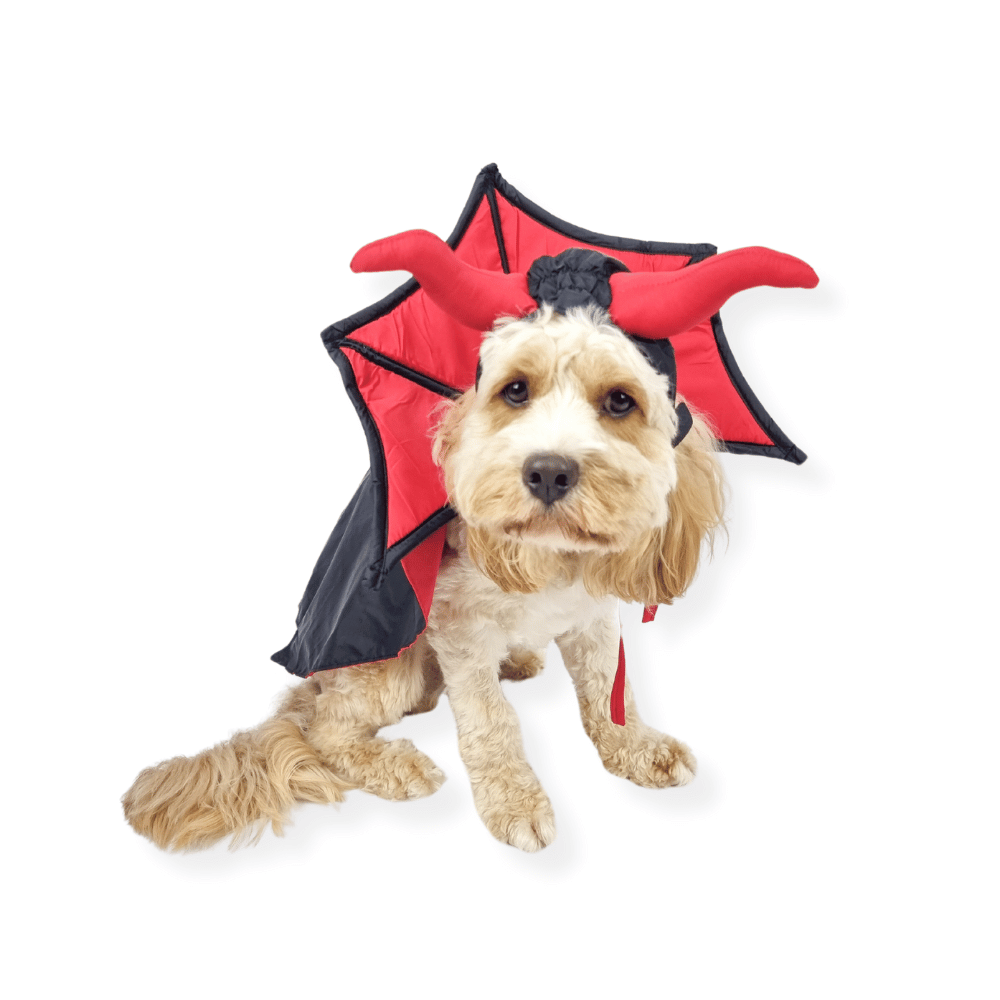 Devil Vampire Dog Costume