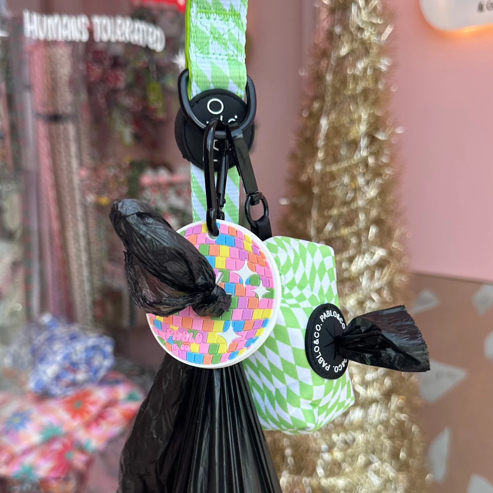 Disco Ball: Doo Doo Holder