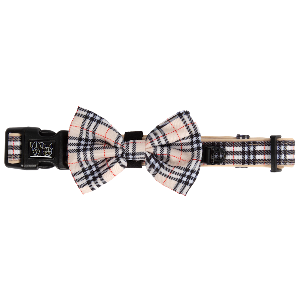 Big & Little Dogs Nova Plaid Collar & Bow Tie