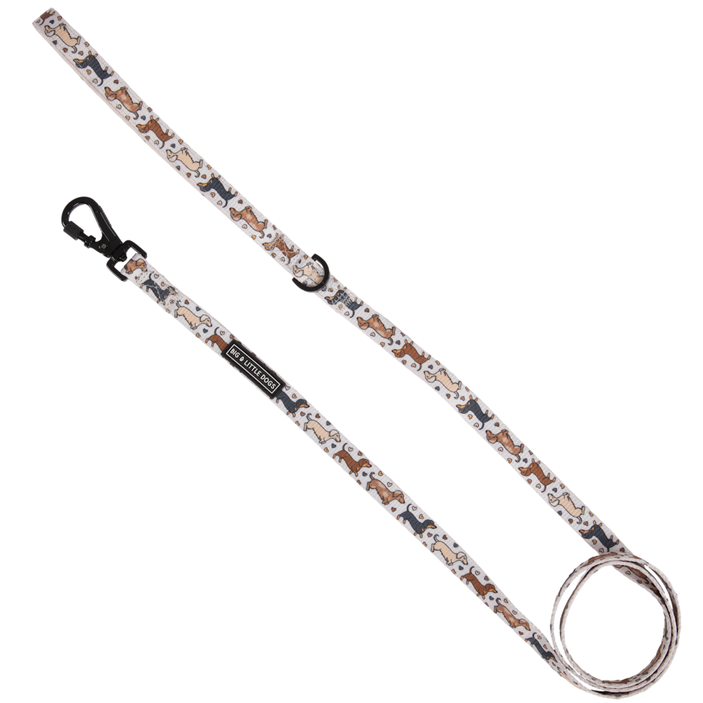 Big & Little Dogs Dashie Lovers Dog Leash