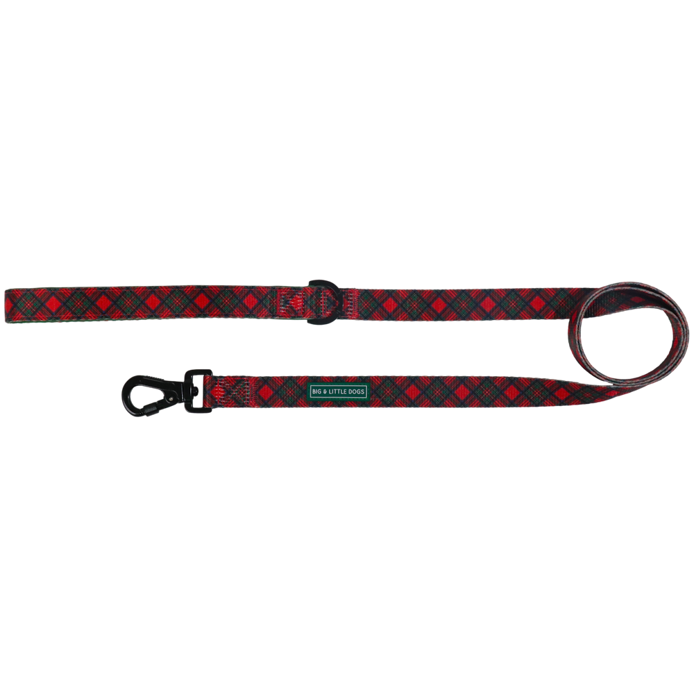 Big & Little Dogs Dog Leash: Festive Tartan