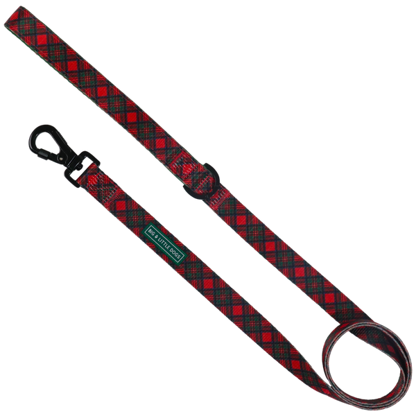 Big & Little Dogs Dog Leash: Festive Tartan