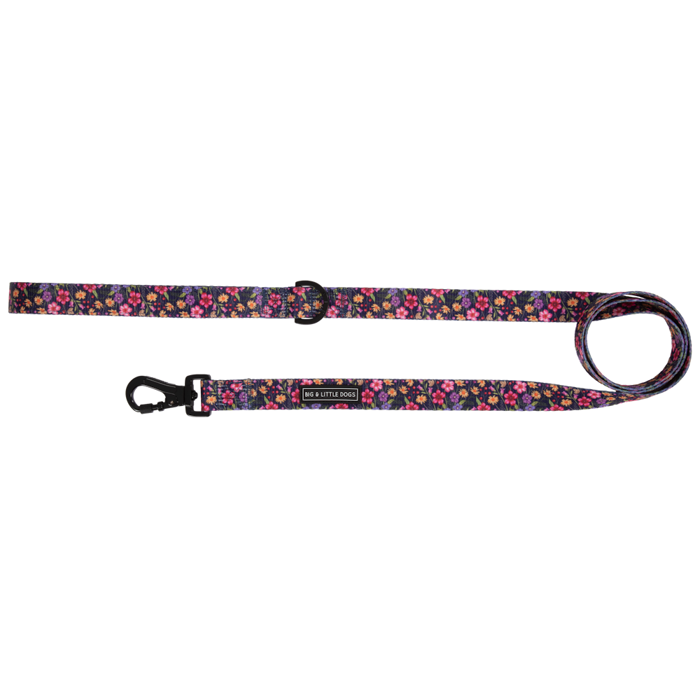 Big & Little Dogs Petal Paradise Dog Leash