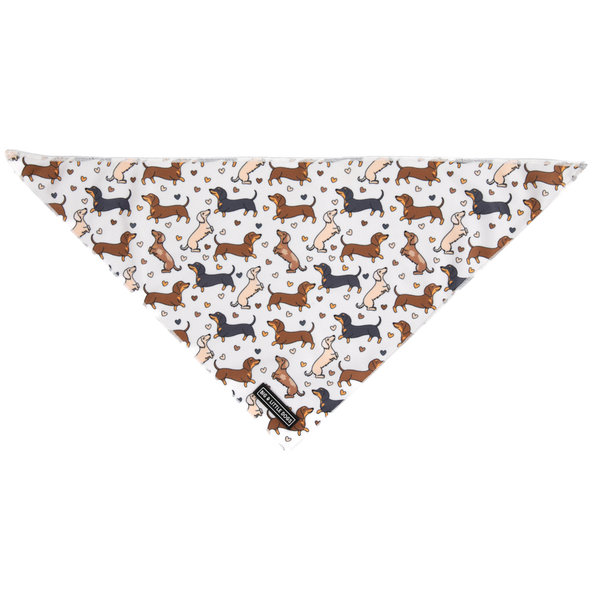 Big & Little Dogs Dashie Lovers Bandana