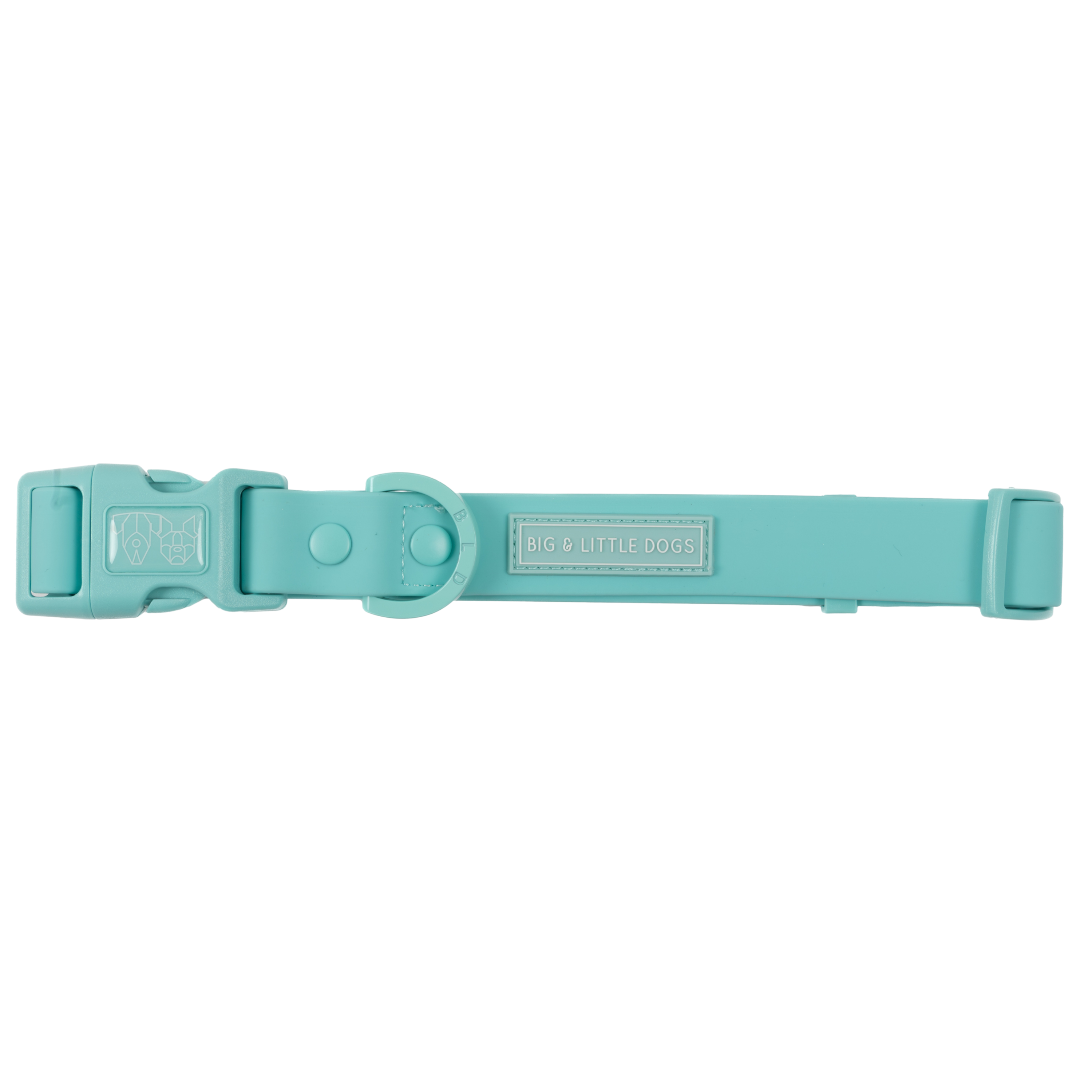 Big & Little Dogs Waterproof Dog Collar - Aqua