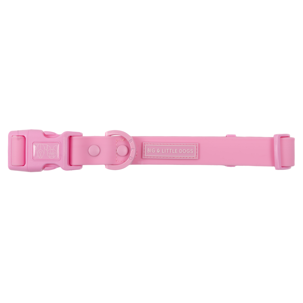 Big & Little Dogs Waterproof Dog Collar - Pink