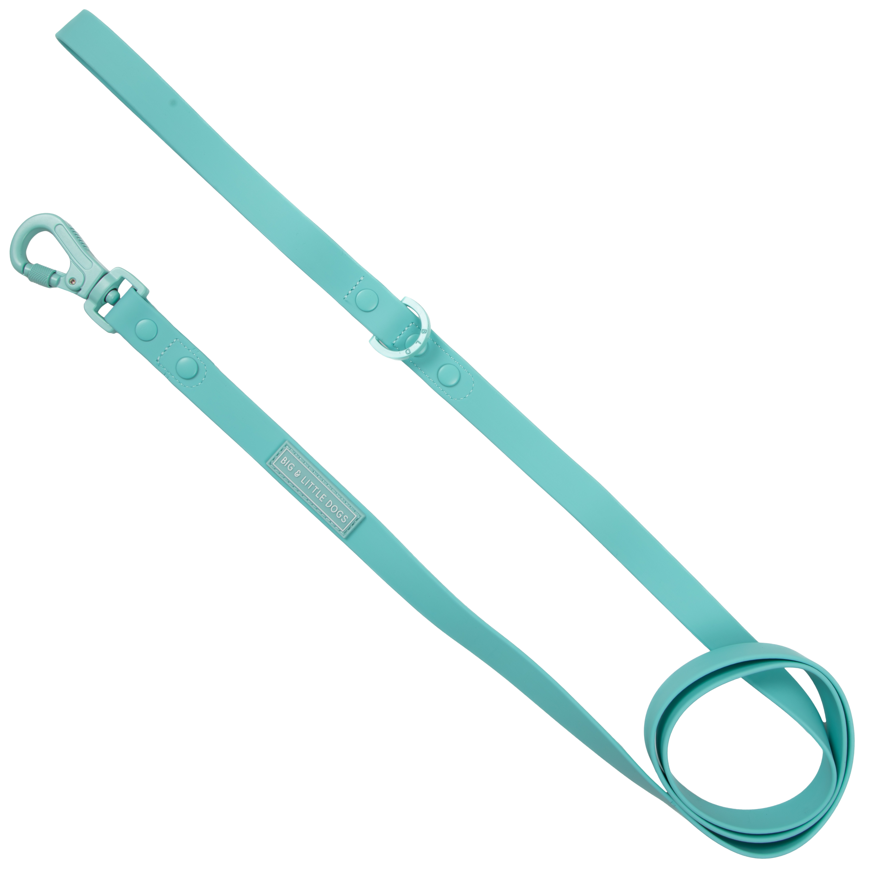 Big & Little Dogs Waterproof Leash - Aqua