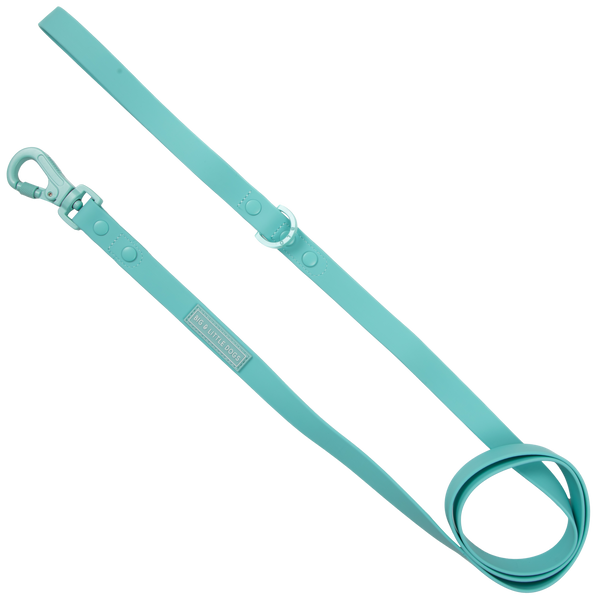 Big & Little Dogs Waterproof Leash - Aqua