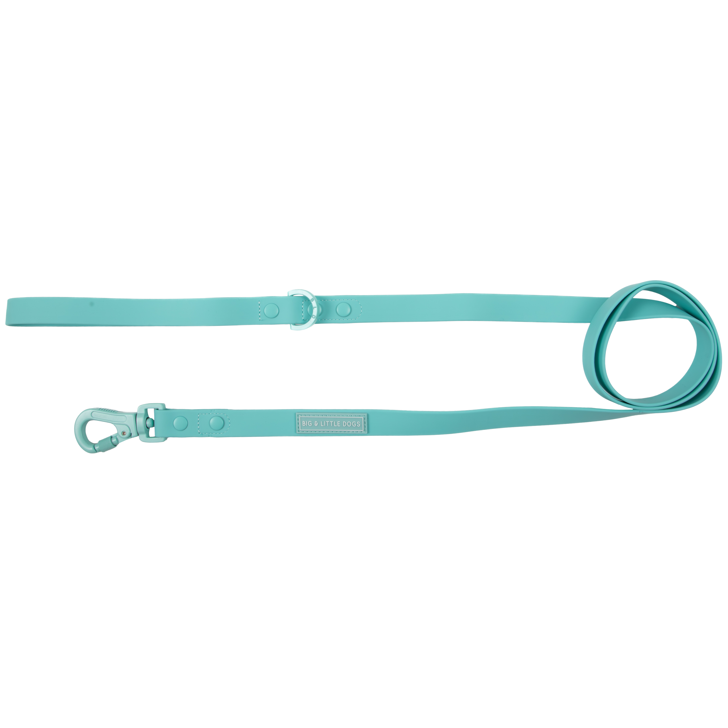 Big & Little Dogs Waterproof Leash - Aqua