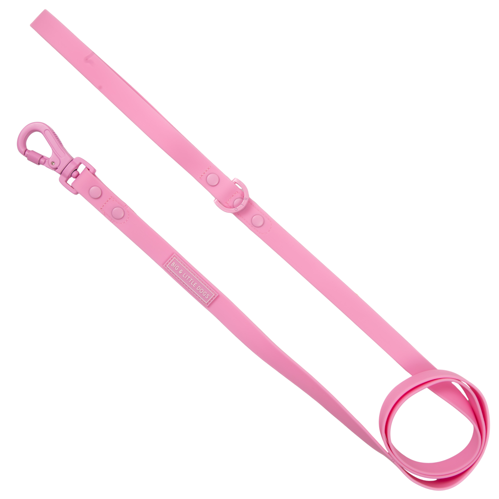 Big & Little Dogs Waterproof Leash - Pink