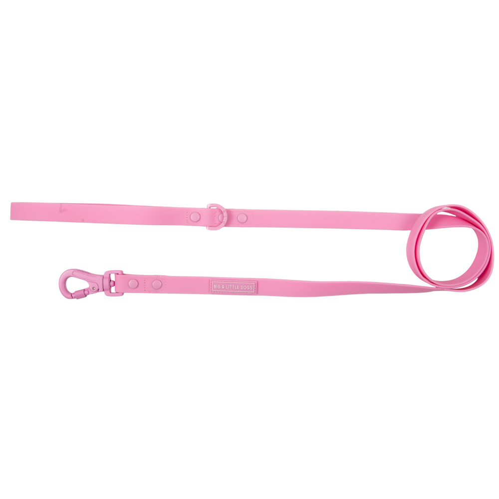 Big & Little Dogs Waterproof Leash - Pink