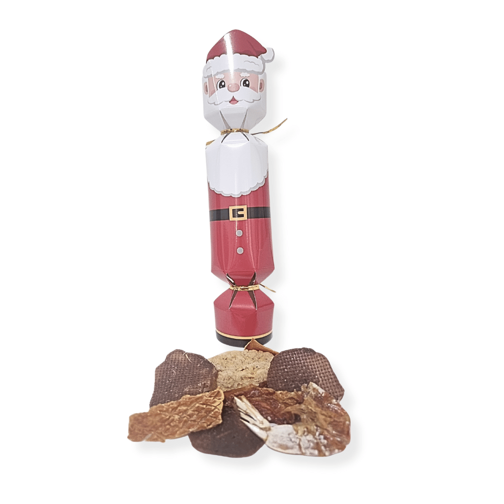 Dog Christmas Crackers