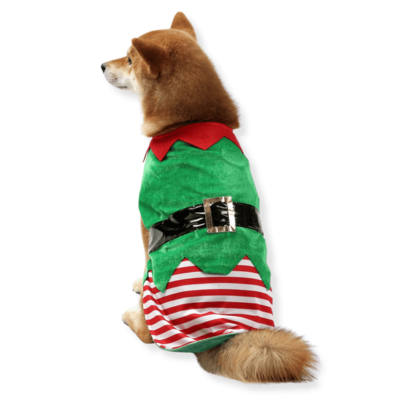 Elf Dog Costume