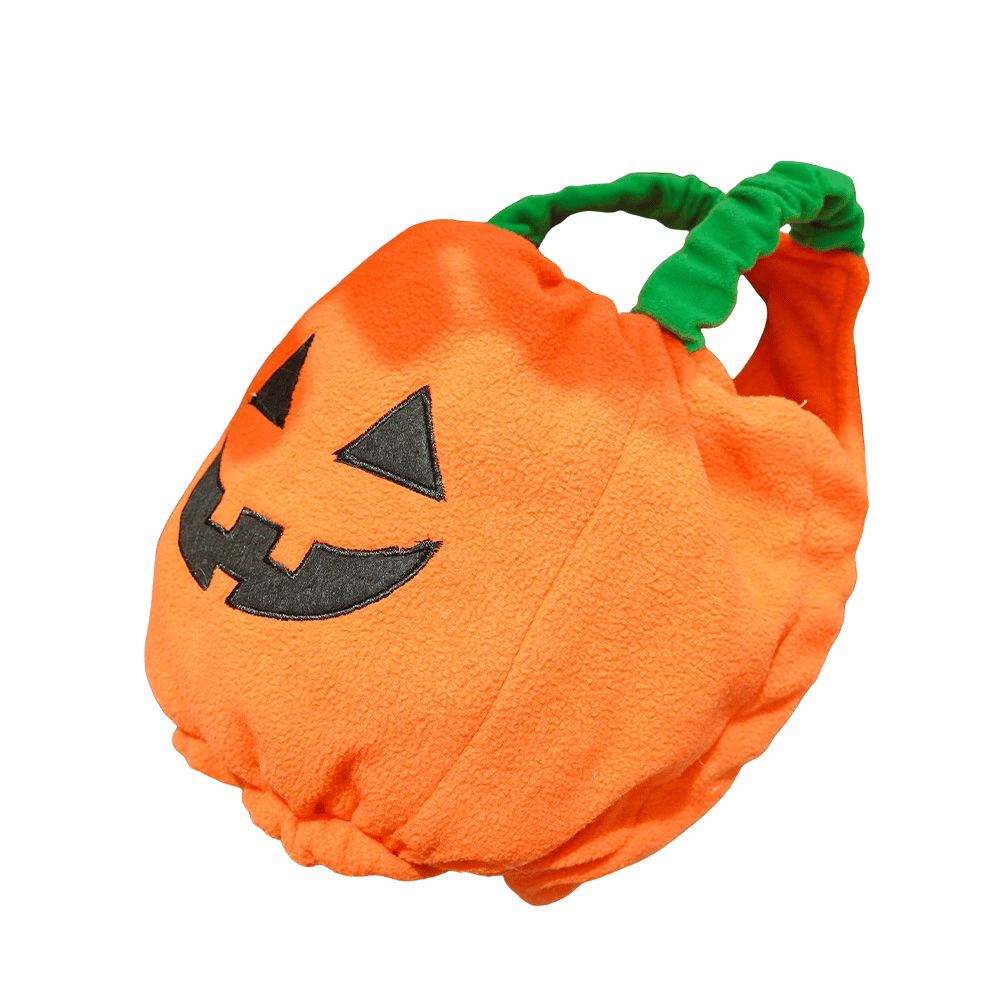 Halloween Pumpkin Dog Costume