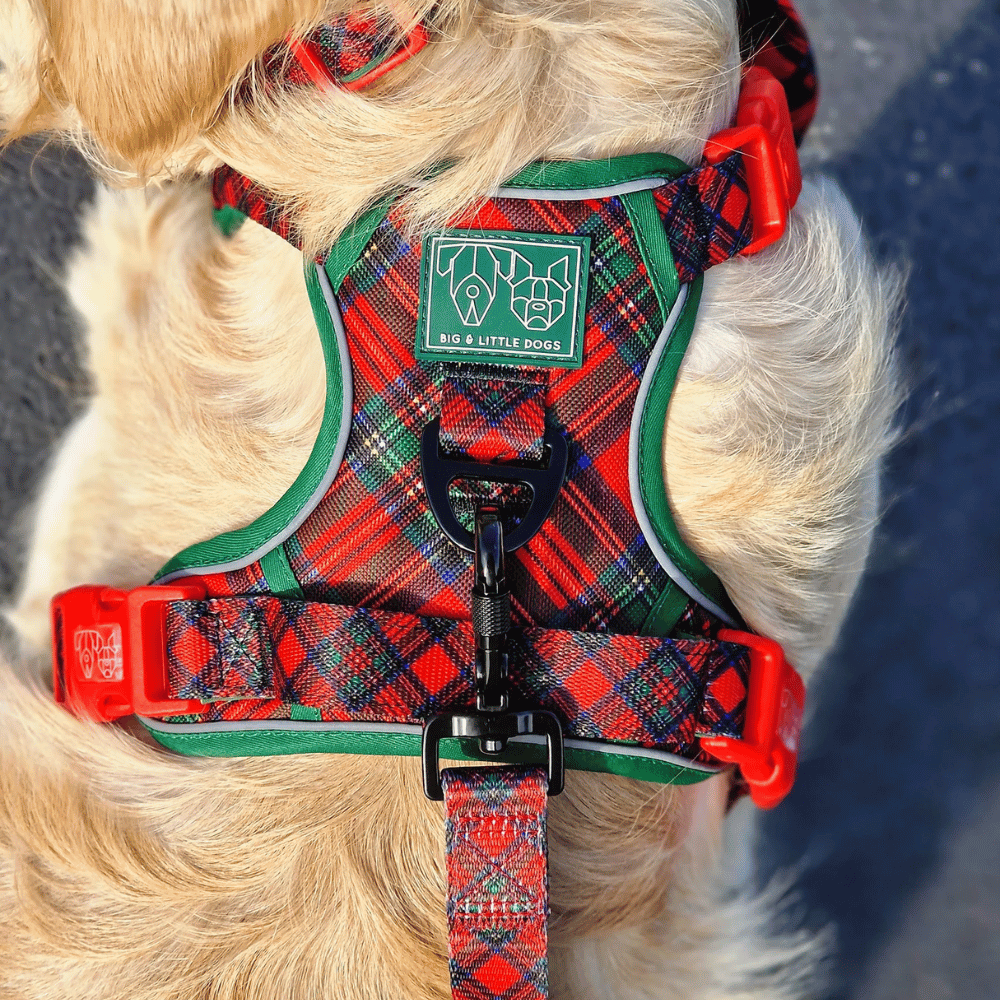 Big & Little Dogs All Rounder Harness: Festive Tartan