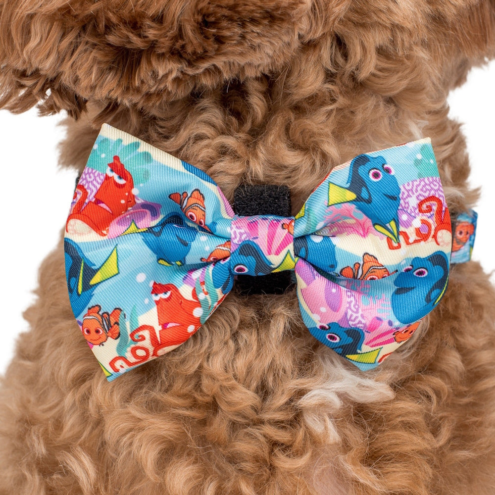 Pablo & Co Finding Nemo: Bow Tie