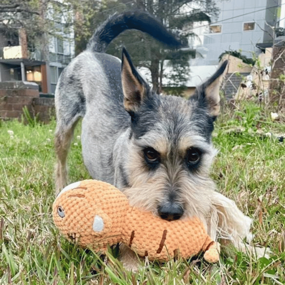 Terry Tiger Rope Squeaker Toy