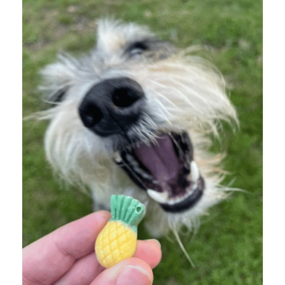 Pawty Mix Dog Lollies