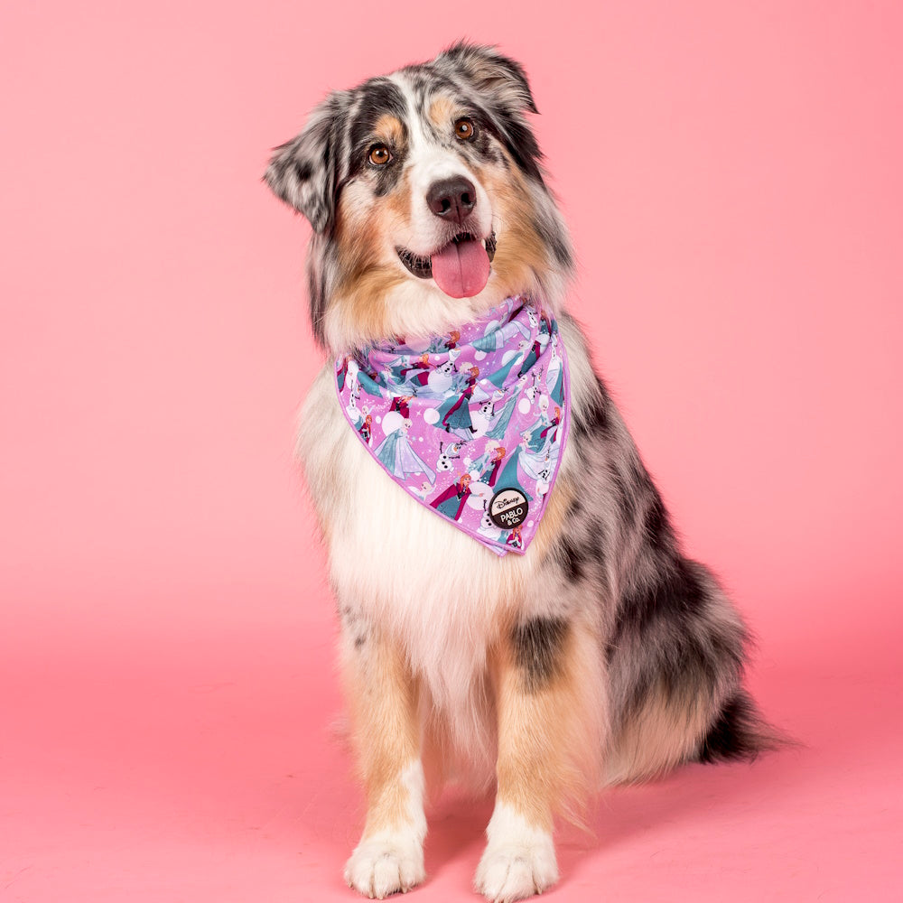 Pablo & Co: Frozen Dog Bandana