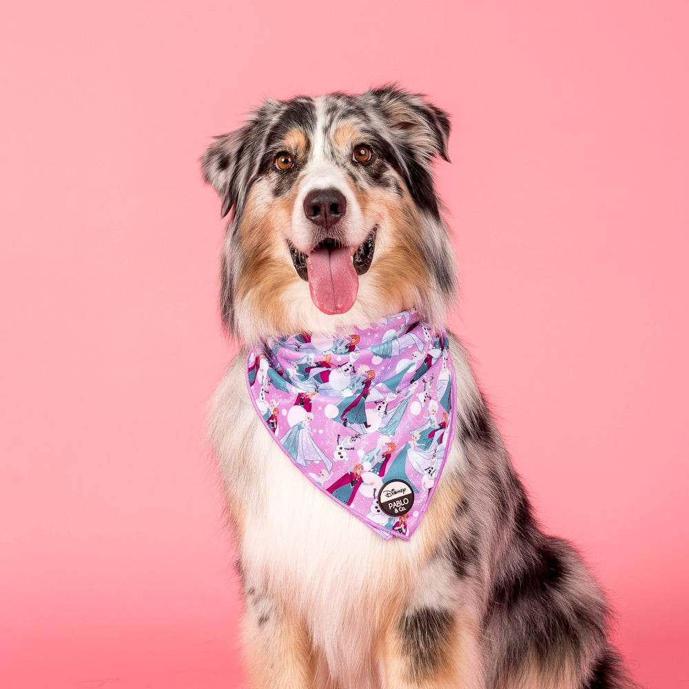 Pablo & Co: Frozen Dog Bandana