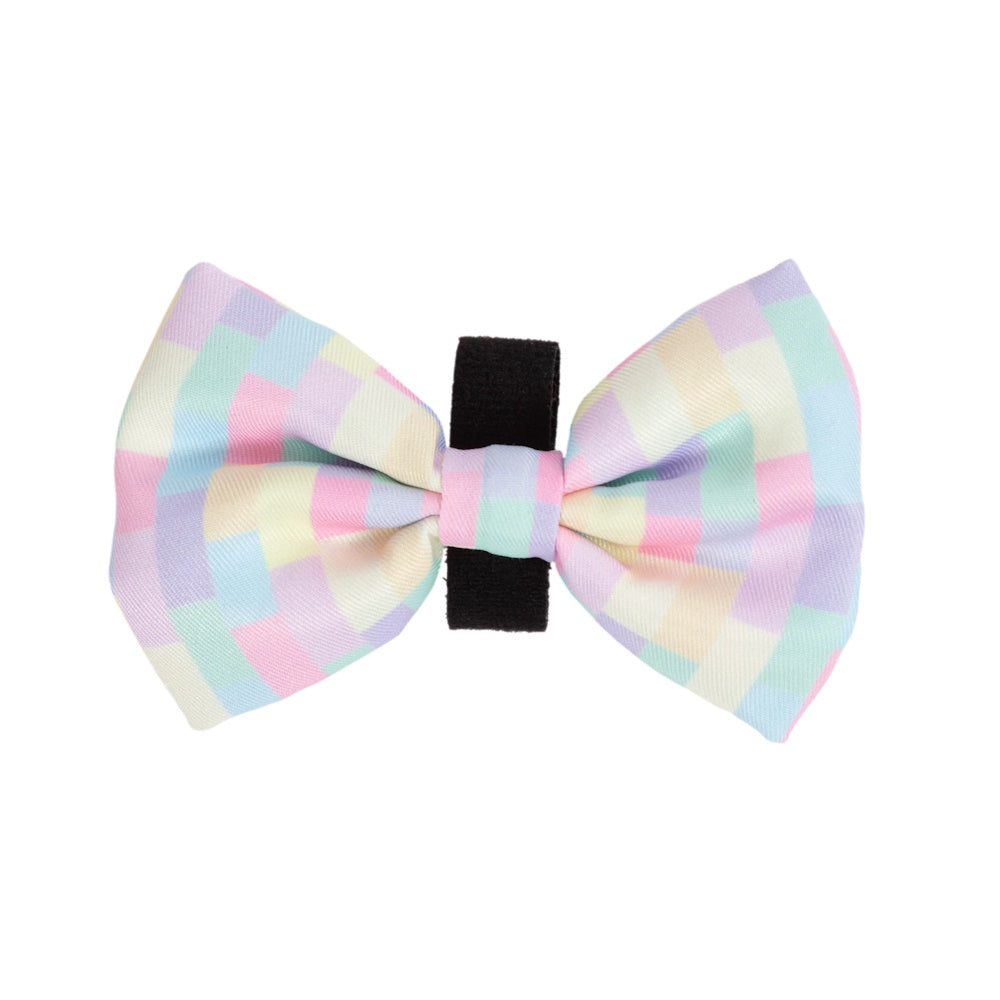 Big & Little Dogs Gelato Collar & Bow Tie